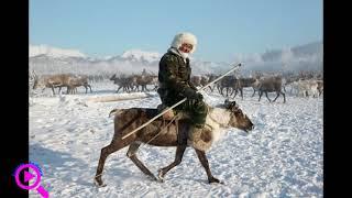 Кыпчаки в этногенезе  "Саха" Якутов.