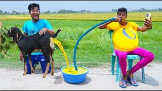 Must Watch Special Comedy Video  Totally Amazing Comedy Episode -270 By @beenfuntv