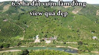 Bán đất vườn Tân thanh - lâm hà - lâm đồng giá hợp lý