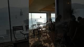 Cafe In Busan