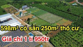 Đất Bảo Lộc | gần 600m² sẵn thổ cư gần trung tâm Bảo Lộc giá chỉ 1 tỉ 950tr-#bdsbaoloc