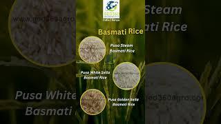 Pusa Basmati Rice – The Perfect Blend of Aroma & Quality! | Geo360 Agro Industries #rice #export