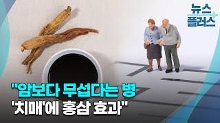 "암보다 무섭다는 병 '치매'에 홍삼 효과"/한국경제TV뉴스