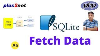 PHP PDO fetch() fetchAll() & fetchColumn() with FETCH_ASSOC, FETCH_NUM, and More: A5