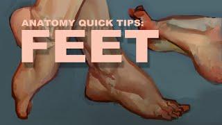 Anatomy Quick Tips: Feet