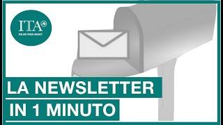 EXPLAINER - La Newsletter in un Minuto