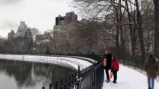 Snow Walk through Central Park in NYC (January 2020)