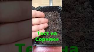 АВ28 тест на сорняки вермикомпост ИП Ткаченко Андрей Сергеевич