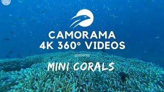 Mini Corals || Camorama 4K Action VR & 360° Camera