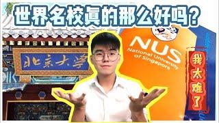 世界名校真的那么好？中国北大vs新加坡国立大学NUS ｜ 躺着上北大？【留学经验甘苦谈】