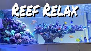 REEF RELAX - aquarium and room design  CHILLOUT - high quality #lofi #aquarium #reeftank #roomdesign