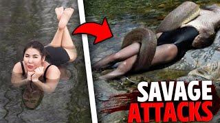 The Most SAVAGE Snake Attacks Marathon!