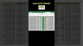 Auto Format option in Excel #shorts #excel #exceltips #exceltutorial #tips