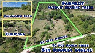 Lot#589 perfect for bakasyunan farm lot w/lots of fruit bearing trees,5 fishpond, alagaan ng hayop