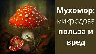 Мухомор: микродозинг, полезен или нет / Mr.GrowChannel