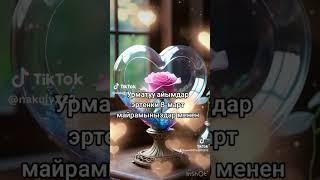 #куттуктоо