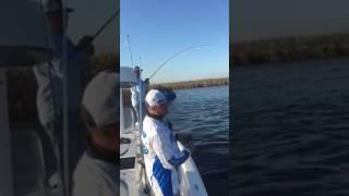 Capt. Anthony Randazzo fishing in South LA