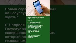Новый сервис «Сим-карты» на Госуслугах: что ждать?