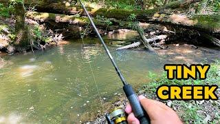 Simplified Creek Ultralight Fishing