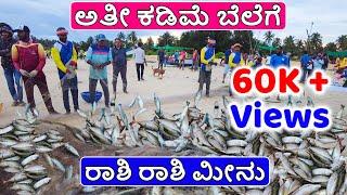 ಕಡಿಮೆ ಬೆಲೆಗೆ ಮೀನು ಬೇಕಾ ?  Boat Fishing in Sea | ನಾಡದೋಣಿ ಮೀನುಗಾರಿಕೆ