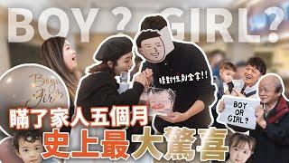 【瞞了5個月】家人反應全嚇壞！性別趴直接揭曉肚子裡是男生還女生？