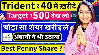 Trident Share ₹40 रुपए में खरीदें ? Target ₹500 देख लो | Best PENNY SHARE 2024 | GOVT PSU भूल जाओगे