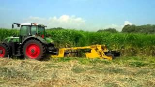 Miscanthus Harvest at Outdoor Farm Show