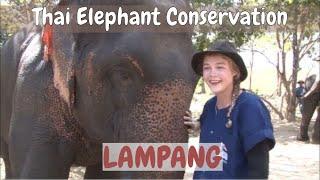 Lampang | Learn to be an Elephant Mahout