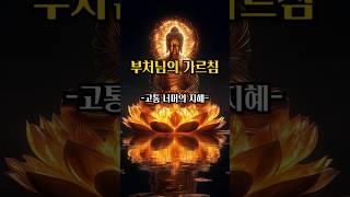 부처님의 가르침 - 고통 너머의 지혜