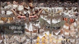 Flight to Light Moths - John Palting