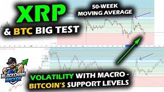 VOLATILITY in All Markets as Bitcoin Nears 50-Week Moving Average, XRP Higher Lows, Stocks and DXY