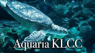 aquaria KLCC in Kuala Lumpur | Largest Aquarium in Malaysia【Full Tour in 4k】