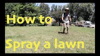 How to spray a lawn | Backpack Sprayer