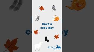 Get cozy with Alpaca Socks! Oh so warm 