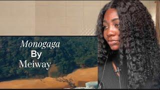 TRANSLATING THE SONG MONOGAGA BY MEIWAY || NZEMA SONG ||QUEEN QUAYSON