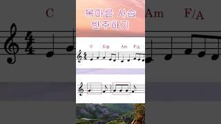 목마른 사슴 반주 | As the Deer | CM 다이아토닉 코드