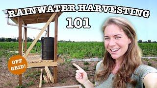 RAINWATER COLLECTION FOR BEGINNERS | 16 Things To Know About Harvesting Rain Water BEFORE You Start