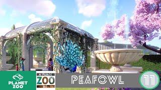 Peafowl Garden - Planet Zoo Franchise - S01E11