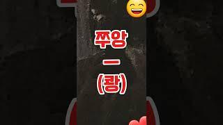 무명 유튜브 쭈앙티비 입니당