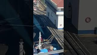 WOW! You Won't Believe What This Worker Did! At the Panama Canal ~ Carnival Spirit #Shorts #Danger