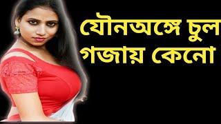 যৌন অঙ্গের চারপাশে চুল গজায় কেনো।। Gk Questions and Answers in Bengali for 2023#gk