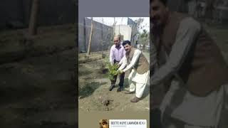 DEO SE Gujranwala k hamrah Sir Ashiq Hussain Cheema sb GHSS NO.1 k plote main pouda laga rahay hein