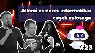 Állami és neres informatikai cégek valósága (kraftie #23)