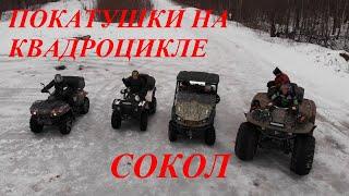 Тестдрайв квадроцикла  Сокол, покатушки по снегу на Сокол, Стелс, Ниссамаран, РМ650/ИванTrotiL