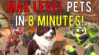 Now Is The BEST Time To Level Your Pets In WoW!