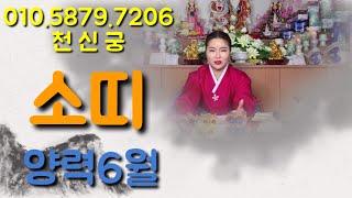 [천신궁][엄지보살][양력6월소띠] 삼재지만 무난하게 넘어 가실 수 있는 소띠분들~!! 23살 정축생부터 71세 기축생 분들까지~!!