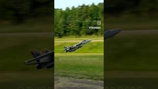 F-14D Super Tomcat High Alpha Pass #aviation #rc #rcplane