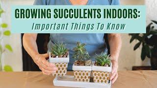 SUCCULENT PLANTS INDOORS: 6 IMPORTANT CARE TIPS/JoyUsGarden