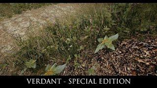 Skyrim SE Mods: Verdant - A Skyrim Grass Plugin