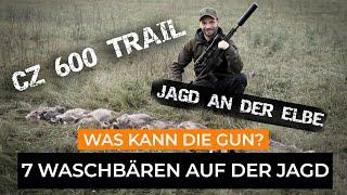 7 Waschbären auf der Jagd - CZ 600 Trail - Welcher Jäger braucht diese Waffe aus Tschechien?